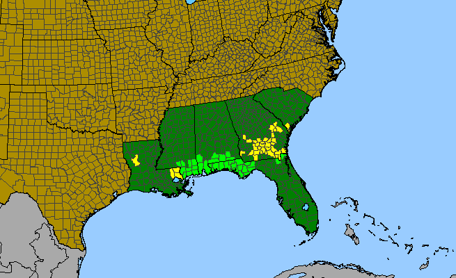 The range of Sarracenia psittacina